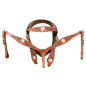 Classic Western Horse Headstall Reins Breast Collar Tack set