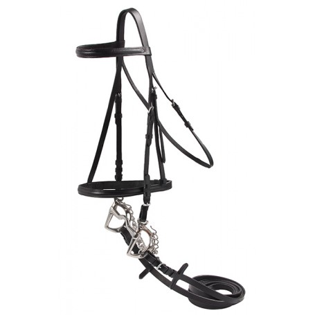 Black All Purpose Leather English Horse Bridle Reins Set