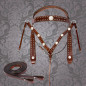 Brown Studded Western Horse Headstall Breast Collar Tack Set