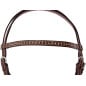 Brown Studded Leather Western Parade Show Horse Tack Set