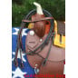 Gorgeous Rawhide Horn Barrel Racing Saddle  15