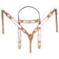 Chestnut Premium Tooled Western Silver Show Parade Leather Horse Tack Set