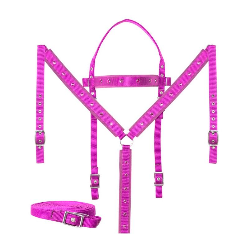 Pink Cowgirl Barrel Racing Western Horse Tack Set Crystal Show Synthetic Nylon