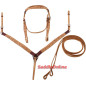 Carve Headstall Reins Breast Collar Tack Package Set