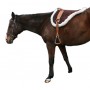 Natural Horsemanship Premium Brown Leather Bareback Pad