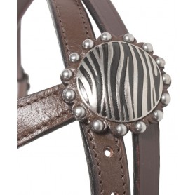 Leather Brown Silver Studded Zebra Tack Headstall Breast Collar