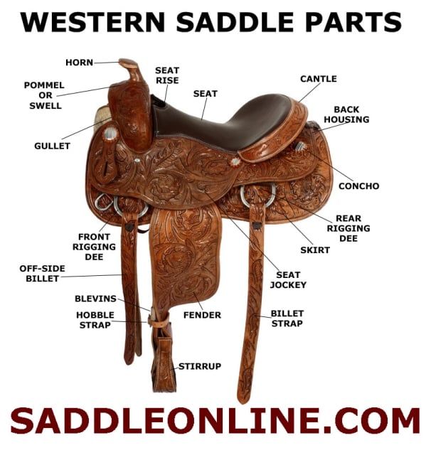 The Parts of a Western Saddle